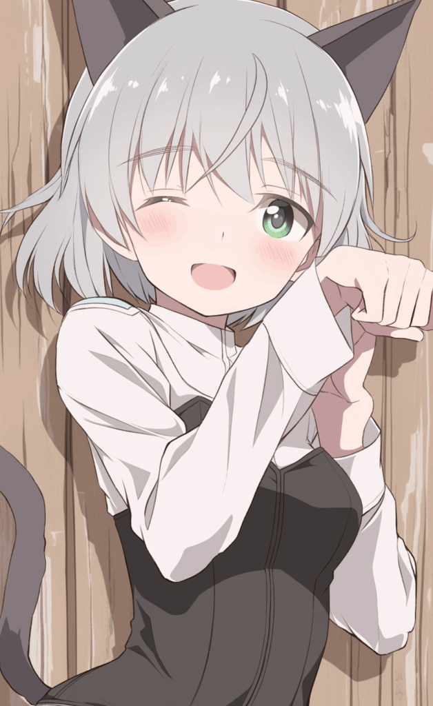 ストライクウィッチーズのサーニャ・V・リトヴャク